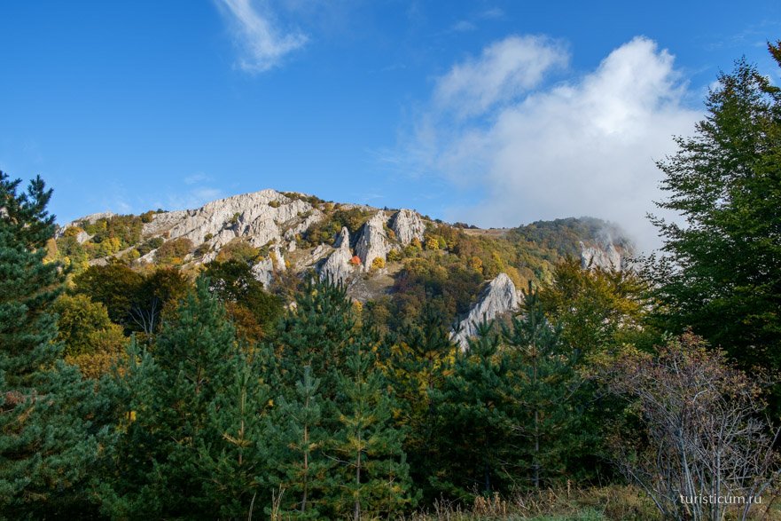 Лес Крым гора Джимерджи